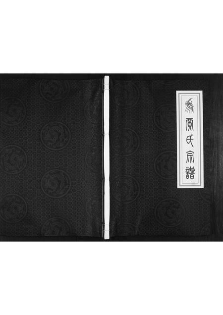 山东贾氏-贾氏宗谱.pdf电子版缩略图