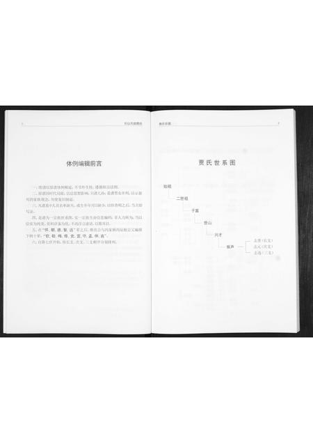 山东贾氏-贾氏宗谱.pdf电子版预览图4