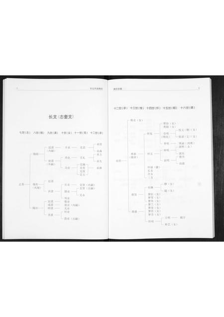山东贾氏-贾氏宗谱.pdf电子版预览图5