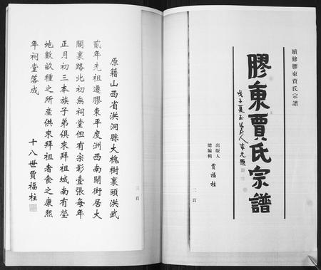 山东贾氏-贾氏宗谱[3卷,首1卷].pdf电子版预览图2