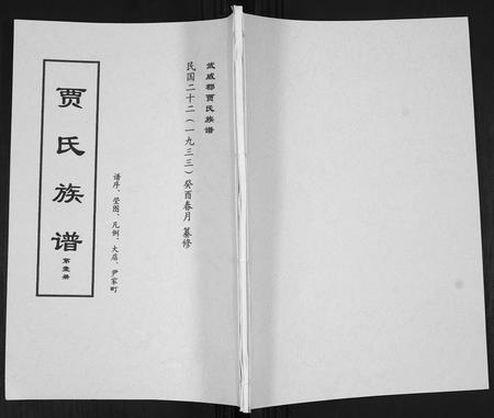 山东贾氏-贾氏族谱.pdf电子版缩略图