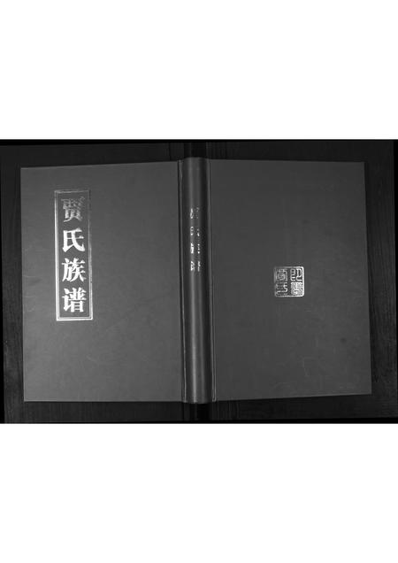 山东贾氏-贾氏族谱.pdf电子版缩略图