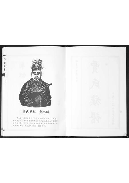 山东贾氏-贾氏族谱.pdf电子版预览图2
