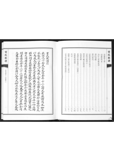 山东贾氏-贾氏族谱.pdf电子版预览图5