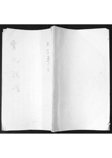 山东贾氏-贾氏族谱.pdf电子版缩略图