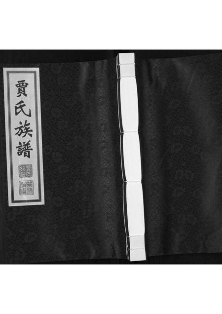 山东贾氏-贾氏族谱.pdf电子版缩略图