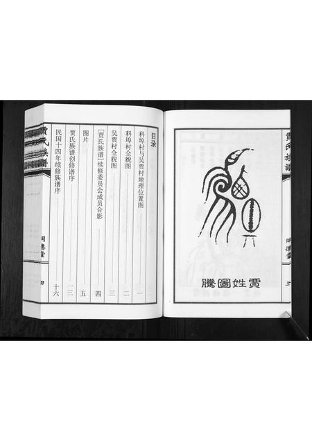 山东贾氏-贾氏族谱.pdf电子版预览图4