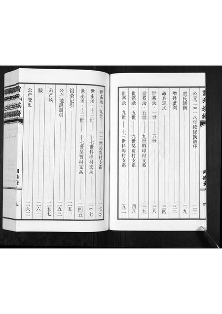 山东贾氏-贾氏族谱.pdf电子版预览图5