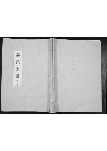 山东姜氏-姜氏家谱[上下卷].pdf电子版缩略图