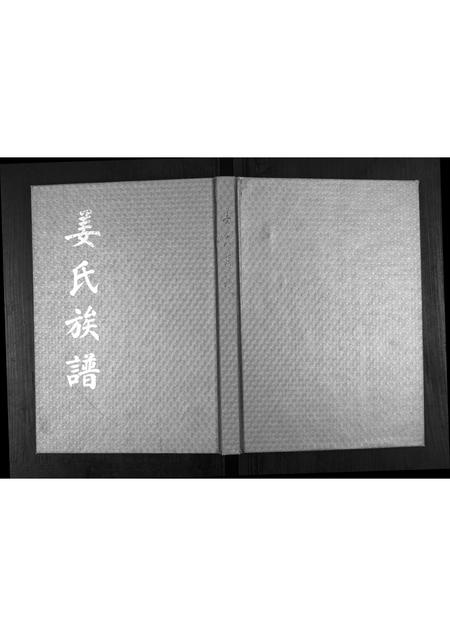 山东姜氏-姜氏族谱.pdf电子版缩略图