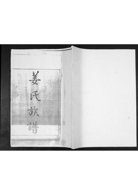 山东姜氏-姜氏族谱.pdf电子版缩略图