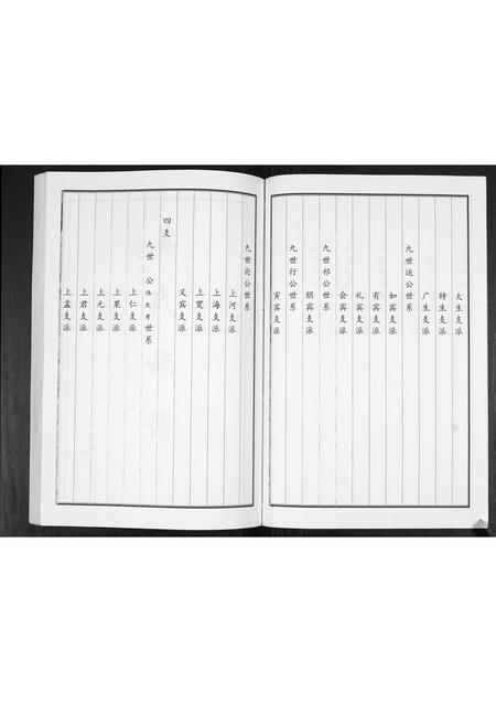 山东姜氏-姜氏族谱[2卷].pdf电子版预览图4