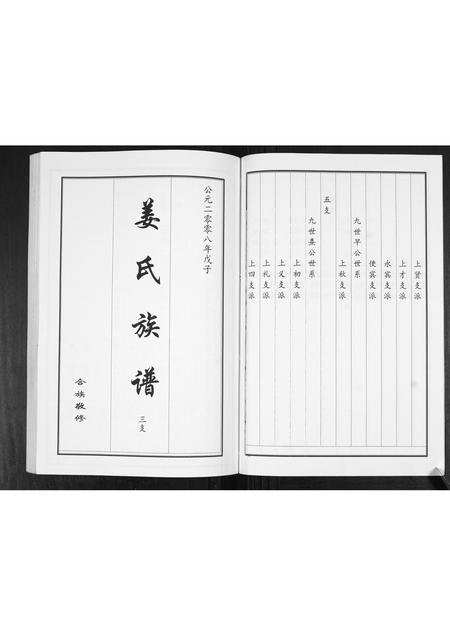 山东姜氏-姜氏族谱[2卷].pdf电子版预览图5