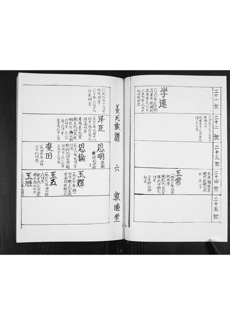 山东姜氏-姜氏族谱[3卷].pdf电子版预览图5