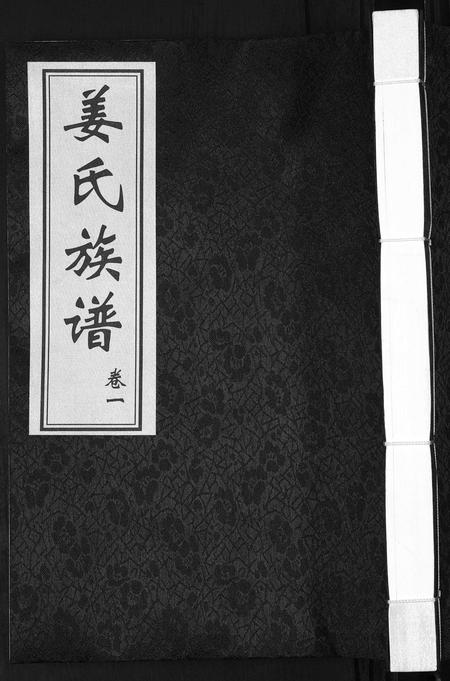 山东姜氏-姜氏族谱[8卷].pdf电子版缩略图