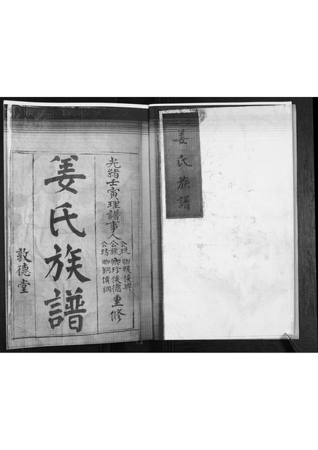 山东姜氏-姜氏族谱[不分卷].pdf电子版预览图2