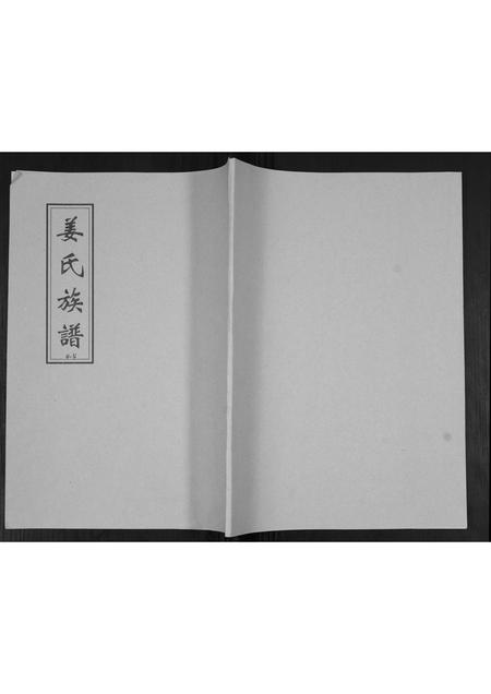 山东姜氏-姜氏族谱[不分卷].pdf电子版缩略图