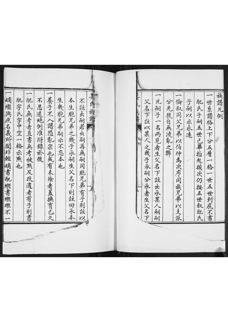 山东姜氏-姜氏族谱[不分卷].pdf电子版预览图5