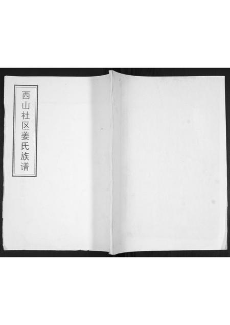 山东姜氏-姜氏族谱[不分卷].pdf电子版缩略图