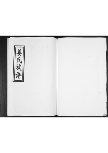 山东姜氏-姜氏族谱[不分卷].pdf电子版预览图2