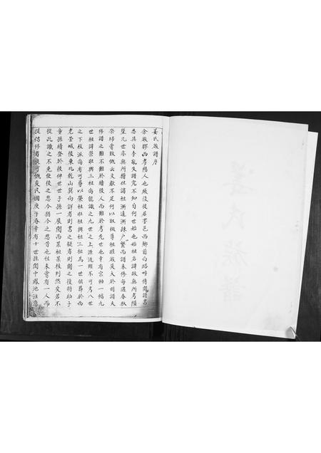 山东姜氏-姜氏族谱[不分卷].pdf电子版预览图2