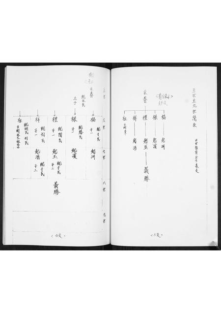 山东姜氏-姜氏族谱[不分卷].pdf电子版预览图3