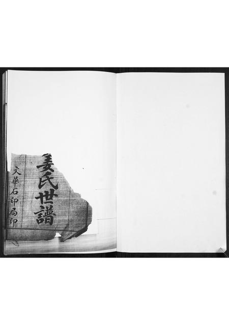 山东姜氏-姜氏族谱[不分卷].pdf电子版预览图1