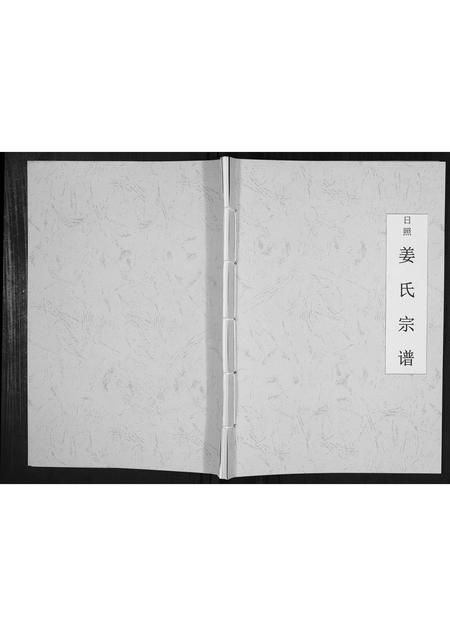 山东姜氏-日照姜氏宗谱[不分卷].pdf电子版缩略图