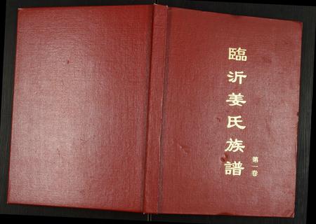 山东姜氏-临沂姜氏族谱.pdf电子版缩略图