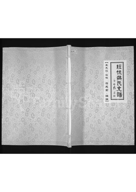 黑龙江蒋氏-绥棱蒋氏支谱(别名：蒋氏支谱).pdf电子版缩略图