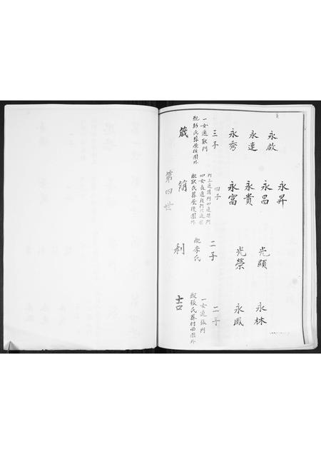 山东焦氏-焦氏支谱.pdf电子版预览图5
