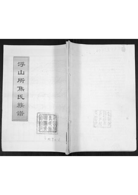 山东焦氏-焦氏族谱.pdf电子版缩略图