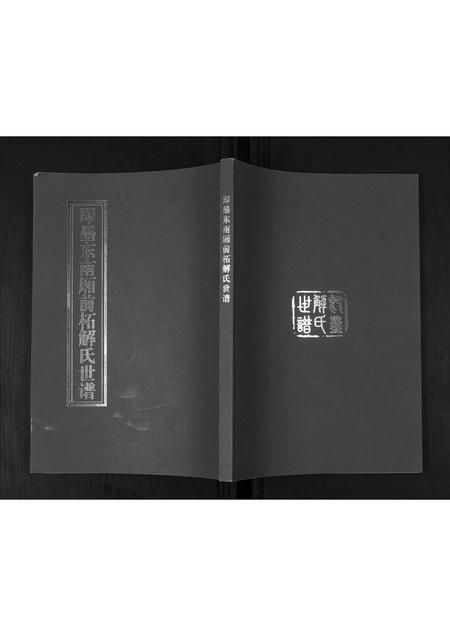 山东解氏-解氏世谱.pdf电子版缩略图