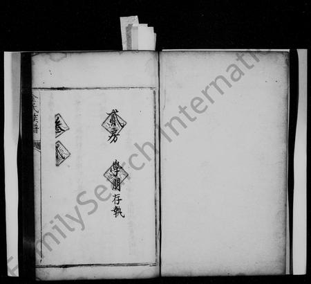 四川金氏-金氏族谱(别名：合江金氏族谱).pdf电子版预览图2