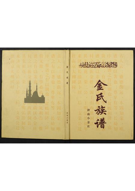 山东金氏-金氏族谱.pdf电子版缩略图