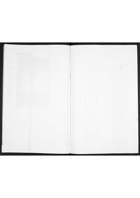 山东金氏-金氏族谱.pdf电子版缩略图