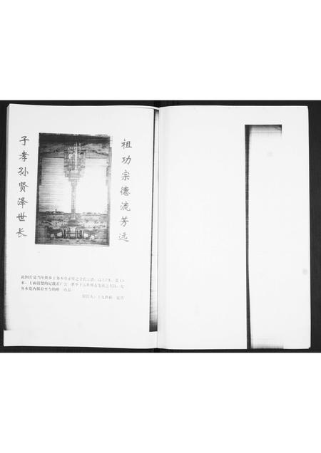 山东金氏-金氏族谱.pdf电子版预览图2