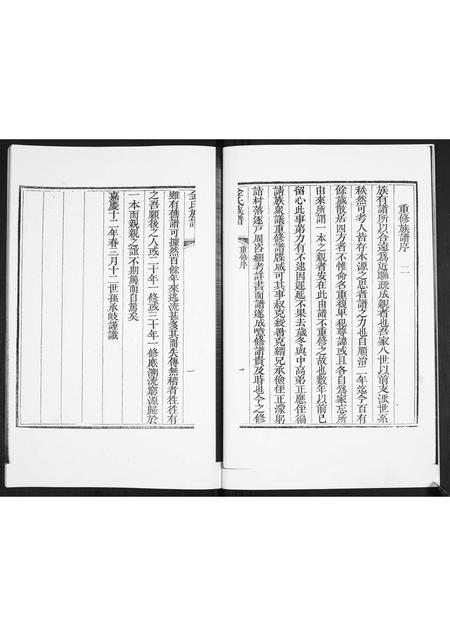 山东金氏-金氏族谱.pdf电子版预览图4