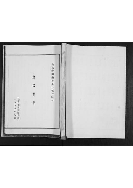 山东金氏-金氏谱书.pdf电子版缩略图