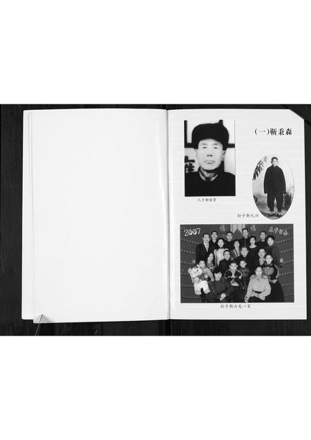 山西靳氏-靳氏家谱[不分卷].pdf电子版预览图4