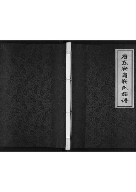 河北靳氏-唐东靳岗靳氏族谱[不分卷].pdf电子版缩略图