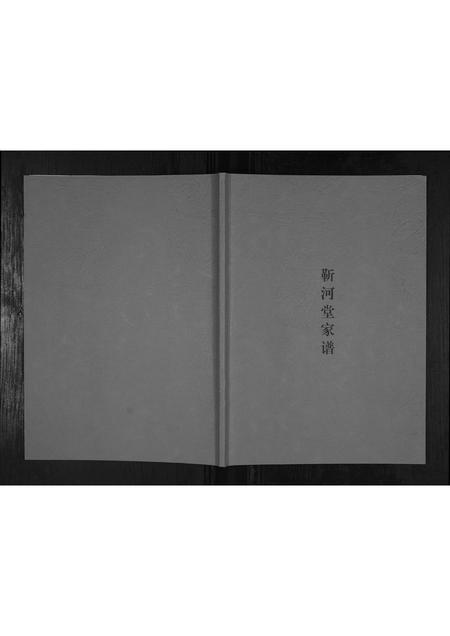 辽宁靳氏-靳河堂家谱.pdf电子版缩略图