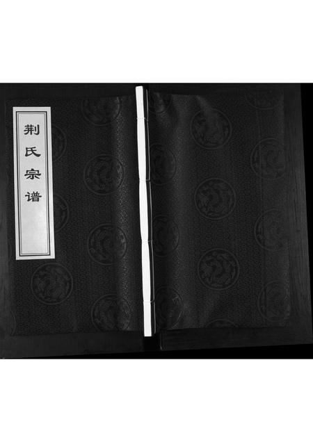 山东荆氏-荆氏宗谱.pdf电子版缩略图