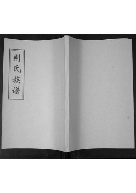 山东荆氏-荆氏族谱.pdf电子版缩略图
