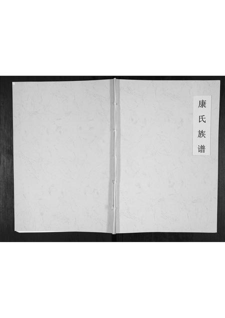 山东康氏-康氏族谱[不分卷].pdf电子版缩略图