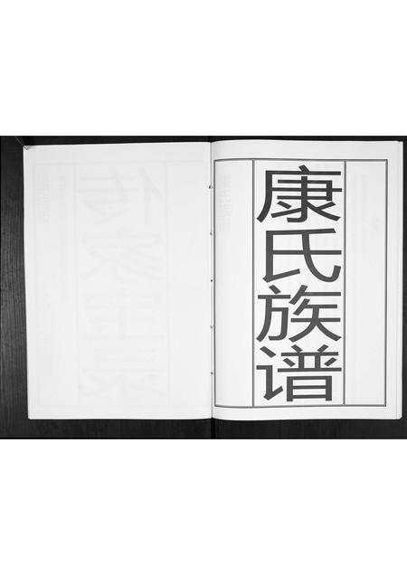 山东康氏-康氏族谱[不分卷].pdf电子版预览图2