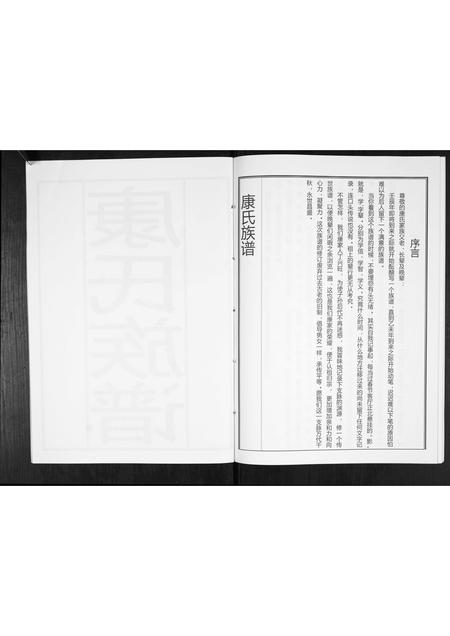 山东康氏-康氏族谱[不分卷].pdf电子版预览图3