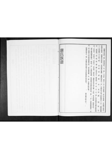 山东康氏-康氏族谱[不分卷].pdf电子版预览图5
