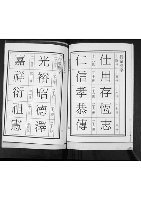 山东蓝氏-蓝氏家承.pdf电子版预览图4