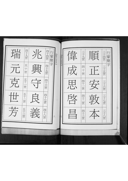 山东蓝氏-蓝氏家承.pdf电子版预览图5